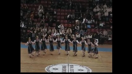 Бистришка копаница, Ситното