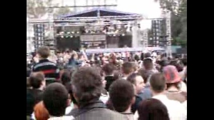 shampion 2004