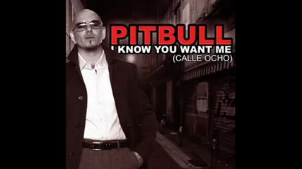 Dj Kml vs.pitbull - I Know You Want Me [c4 Production]
