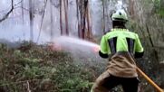 Необичайните за сезона горещини предизвикаха горски пожари в Испания