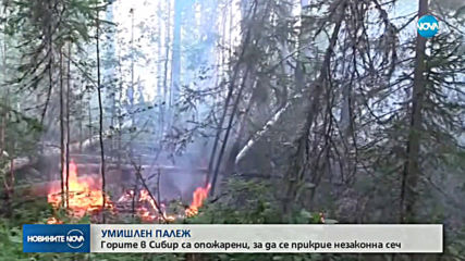 Новините на NOVA (07.08.2019 - обедна емисия)