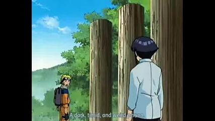 NaruHina - Breeking Free