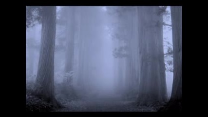 Emilie Simon - Desert