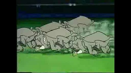 Zoo Cup - Nosorozi Vs Slonove 