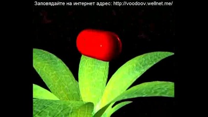 Vision Nature Tan