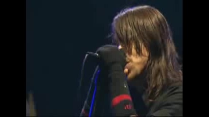 Red Hot Chili Peppers - Snow (live)