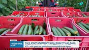 КЗП обявява нови данни от проверките на цените в търговските вериги
