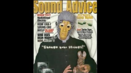 Limp Bizkit (wes Borland)