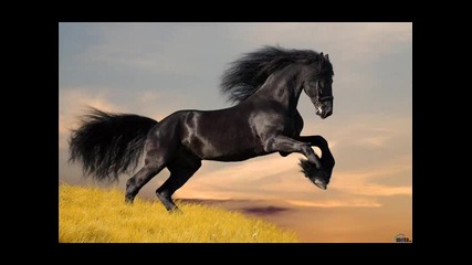 Club Dance Music Summer 2010 Top Hits Club Mix Rhythm of the Dance .vol.4 