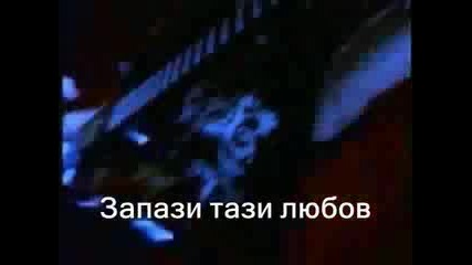 Pantera - This Love Превод