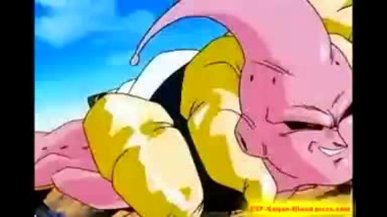 The Saiyan Phenomenon (limp Bizkit) 