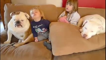 Смех - куче и дете дремат пред телевизора