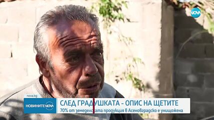 Какви са щетите след градоносната буря в Асеновградско