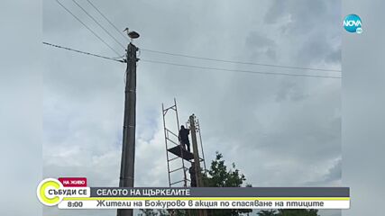Жители на с.Божурово в акция по спасяване на щъркели