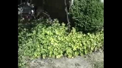 Uvs080817 - 001.flv