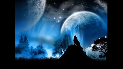 Wolves 