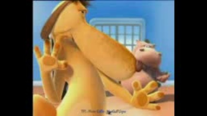 happy hippo special