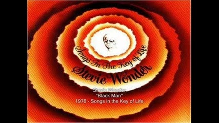 Stevie Wonder - Black Man