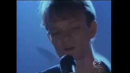 House Of Love - Shine On