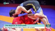 Три медала за България на европейския шампионат по борба