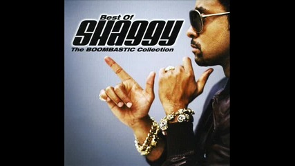 Shaggy Bombastic (remix)