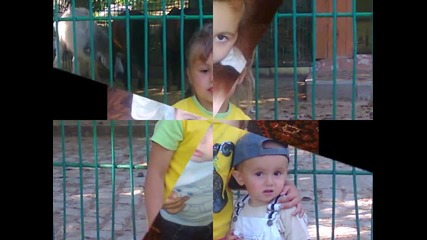 Серафим 2011