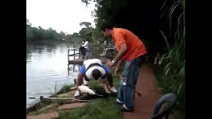 Риба удря шамар на мъж