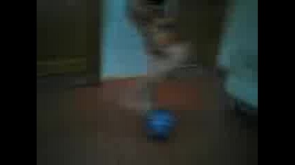 just boy