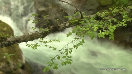 Крепости в България