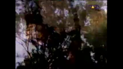 Michael Jackson - Earth song