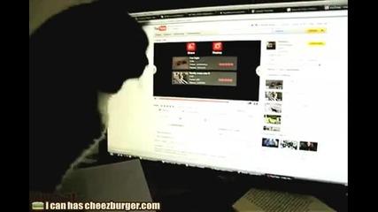 Котка в компютъра ?