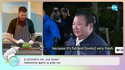Спаначени палачинки с мус от риба тон и сушени домати и Салата с пене, чери домати, риба тон