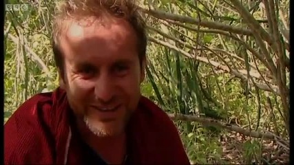 Bruce Parry and the bees - Tribe - Bbc 