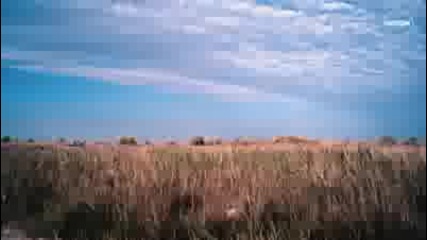 Play & Win - Only (official Video) Hd 
