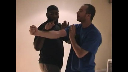 Wing Chun chi sao techniques 
