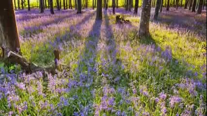 Relaxing Moments ( Landscapes )