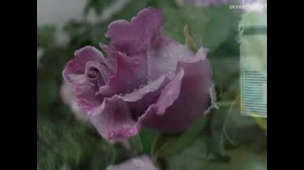Jim Brickman - The Love I Found In You