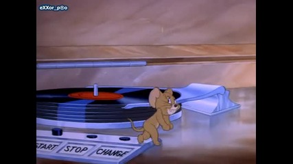 Tom and Jerry - Puss ntoots 