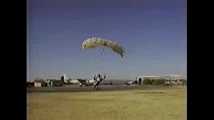 Free Fly Clowns