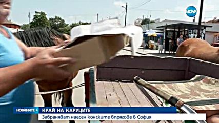 Забраняват наесен конските впрягове в София