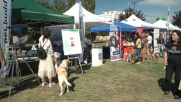 Кучешки фестивал "Dog Fest" събира приятели на четириногите в Южния парк (ВИДЕО)