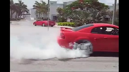 Amazing Burnout vs Mustang 