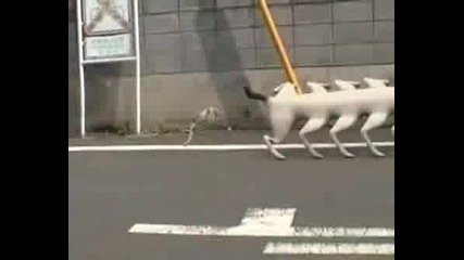 Невероятно - Най Дългото Куче В Света
