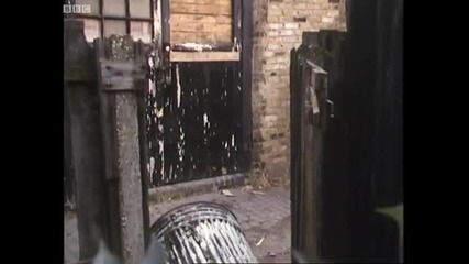 Police chase - Only Fools and Horses - Bbc 