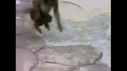 Май не се хареса в огледалото (смях)