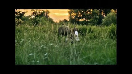 Sonata Arctica - Flag In The Ground by Asterixu
