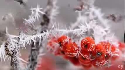 Winter has come - Music Fiona Joy Hawkins -
