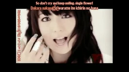 High and Mighty Color - Ichirin no Hana ( opening 3 bleach )
