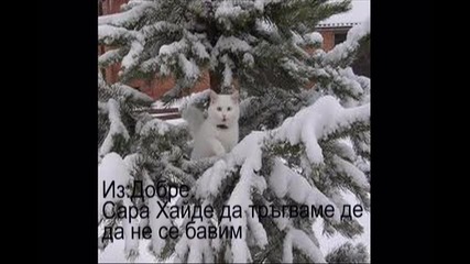 Ужасен живот сезон 1 еп.2