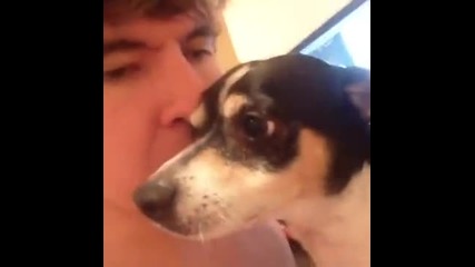 Am I the only one that does this to their pet - :d